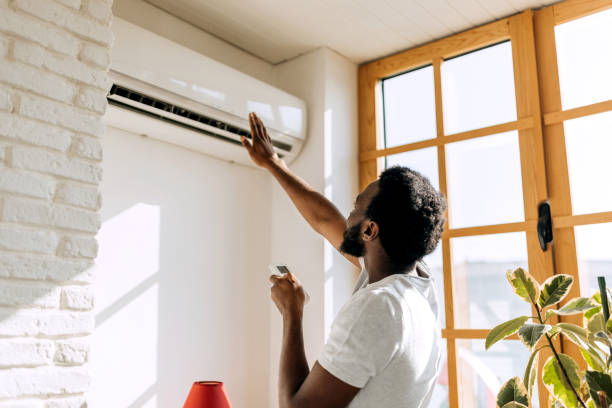 Best HVAC Installation Services  in Frankenmuth, MI